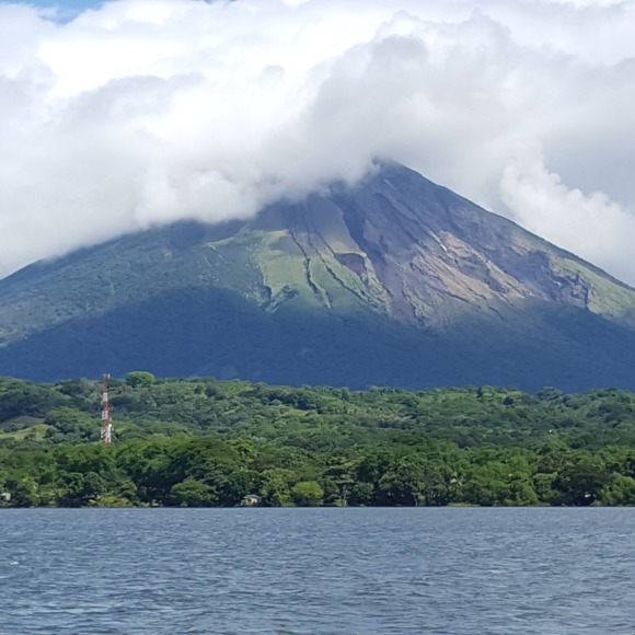 papipapaya
